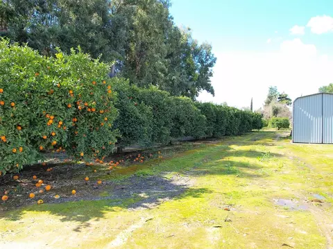 17811 Avenue 278, Exeter, CA 93221 photo 14