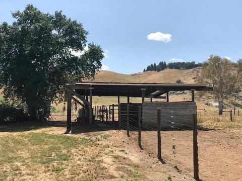 30471 Sierra Sunrise Dr, Exeter, CA 93221 photo 83