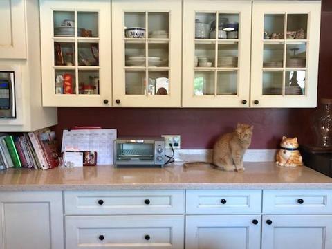 30471 Sierra Sunrise Dr, Exeter, CA 93221 photo 26