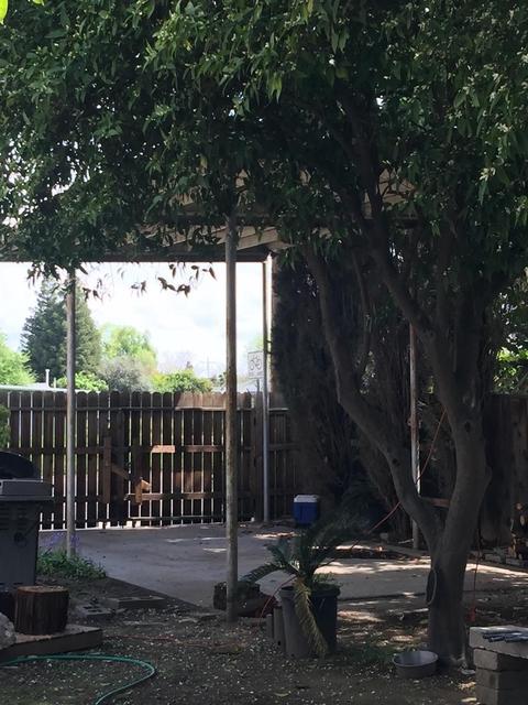 1311 W Iris Ave, Visalia, CA 93277 photo 26