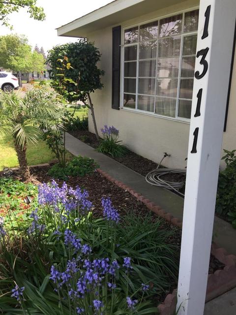1311 W Iris Ave, Visalia, CA 93277 photo 4