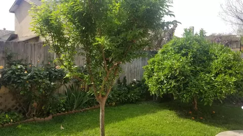 2425 N Bradley St, Visalia, CA 93292 photo 81