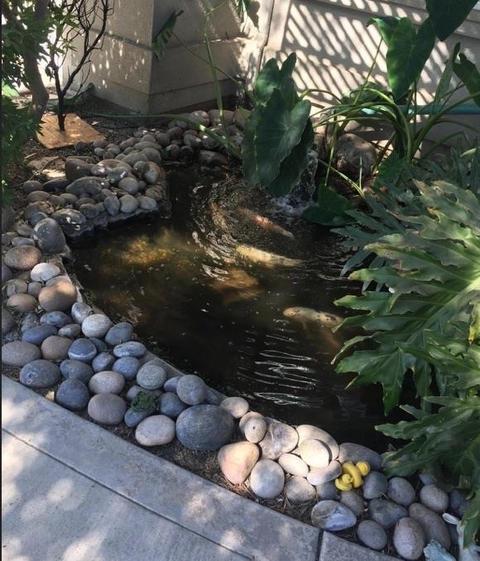 667 Kathleen Ct, Exeter, CA 93221 photo 4