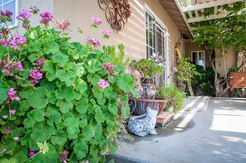 1357 Pine St, Selma, CA 93662 photo 39