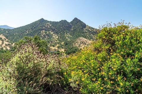 42256 Black Oak Dr, Three Rivers, CA 93271 photo 39
