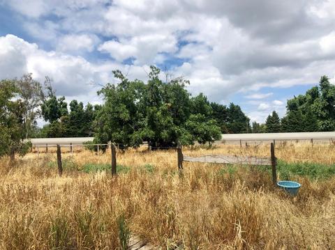 16116 Houston Ave, Lemoore, CA 93245 photo 6