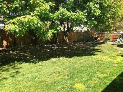 698 Avalon Dr, Lemoore, CA 93245 photo 41