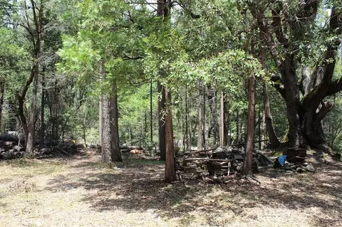 531 Trails End, Camp Nelson, CA 93265 photo 5