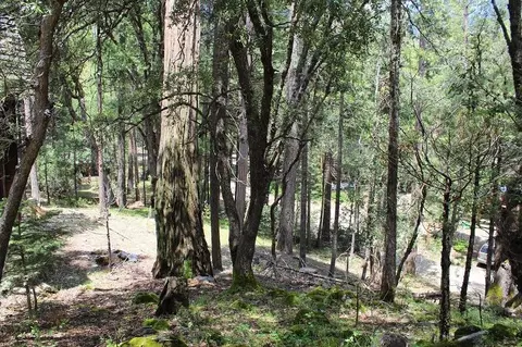 531 Trails End, Camp Nelson, CA 93265 photo 7