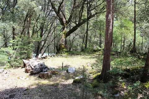 531 Trails End, Camp Nelson, CA 93265 photo 6