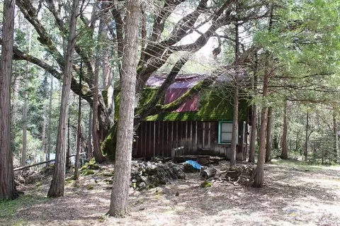 531 Trails End, Camp Nelson, CA 93265 photo 3