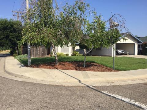 480 Katelyn Ct, Exeter, CA 93221 photo 15