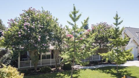 719 Sherwood St, Exeter, CA 93221 photo 26