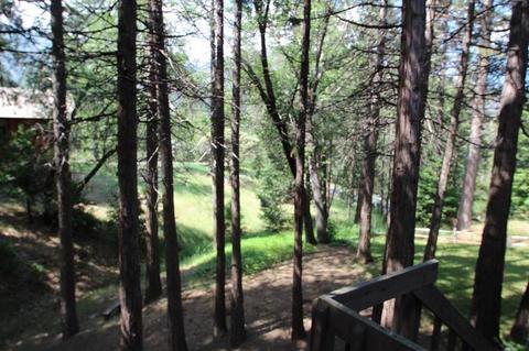 1203 Pine Haven Ct, Springville, CA 93265 photo 10