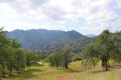 42360 Corral Dr, Three Rivers, CA 93271 photo 8