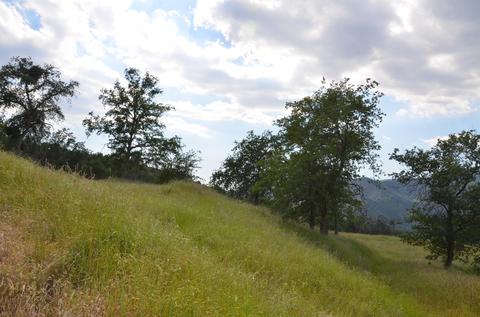 42360 Corral Dr, Three Rivers, CA 93271 photo 13
