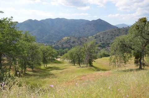 42360 Corral Dr, Three Rivers, CA 93271 photo 9