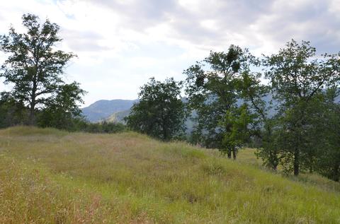 42360 Corral Dr, Three Rivers, CA 93271 photo 11