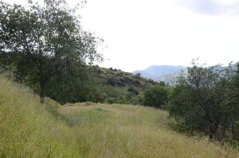42360 Corral Dr, Three Rivers, CA 93271 photo 6