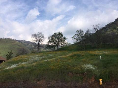 42360 Corral Dr, Three Rivers, CA 93271