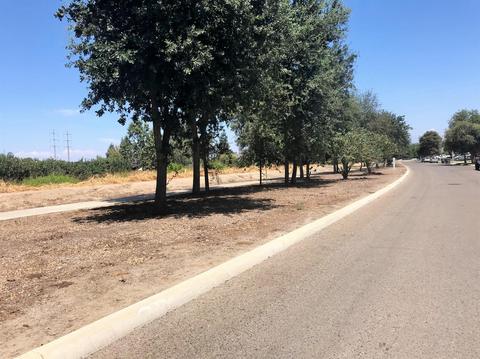 4217 E Murray Ave, Visalia, CA 93292 photo 4