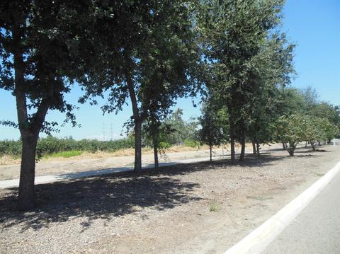 4217 E Murray Ave, Visalia, CA 93292 photo 5