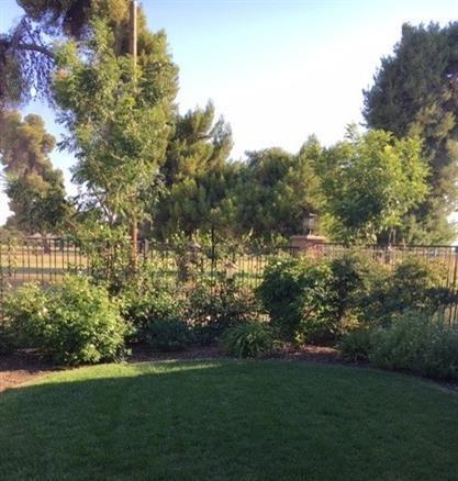 606 Little Lane Dr, Exeter, CA 93221 photo 4