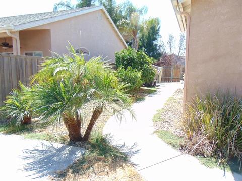 844 Driftwood Ave, Lemoore, CA 93245 photo 23