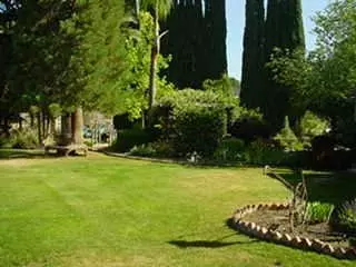 16150 Cattle Dr, Springville, CA 93265 photo 5
