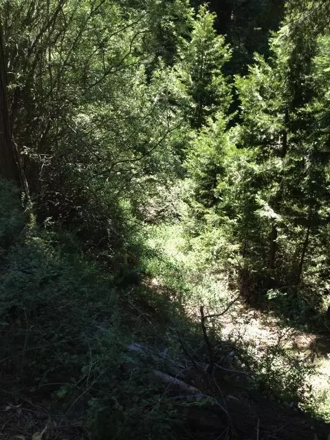 54608 Alder Dr, Sequoia Crest, CA 93265 photo 3