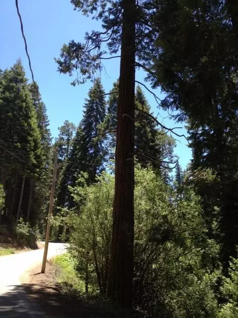 54608 Alder Dr, Sequoia Crest, CA 93265 photo 2