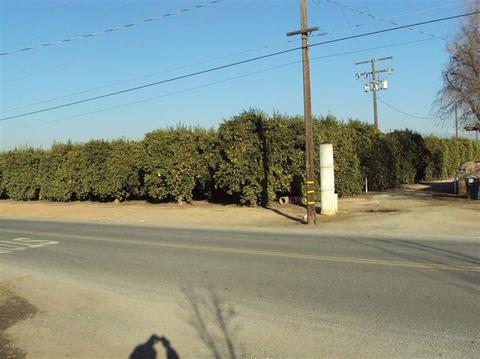 19693 Road 232, Strathmore, CA 93267 photo 2