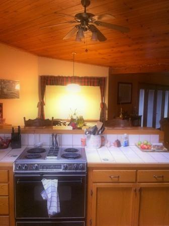 33703 Bear Ln, Springville, CA 93265 photo 15