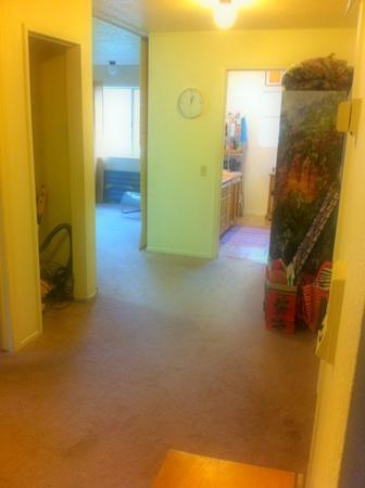 33703 Bear Ln, Springville, CA 93265 photo 30