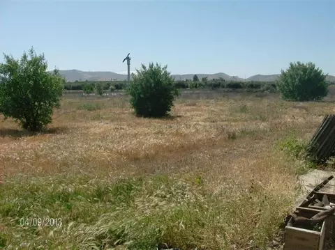 24107 200 Ave, Strathmore, CA 93267 photo 3