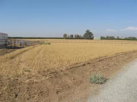5744 Road 234, Ducor, CA 93218 photo 20