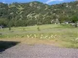36944 Balch Park Rd, Springville, CA 93265 photo 1