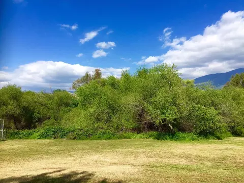 33165 Globe Dr, Springville, CA 93265 photo 21