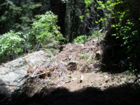 54853 Alder Dr, Sequoia Crest, CA 93265 photo 1