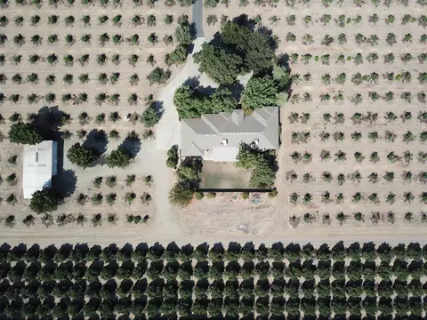 26646 Rd 176, Exeter, CA 93221 photo 3