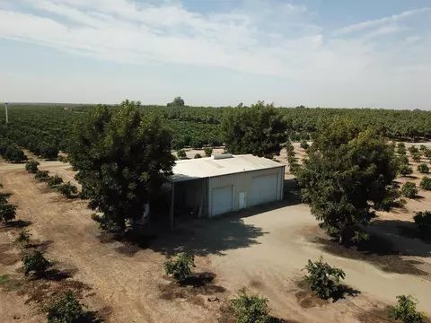 26646 Rd 176, Exeter, CA 93221 photo 5