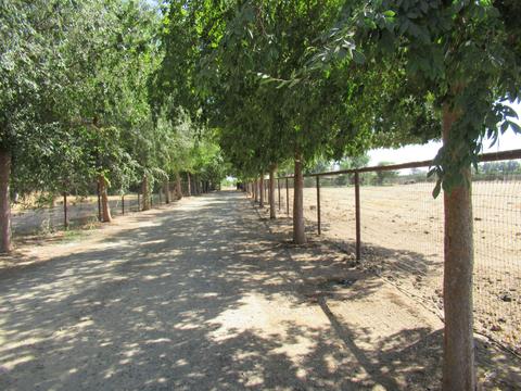 22223 Carson Ave, Exeter, CA 93221 photo 1