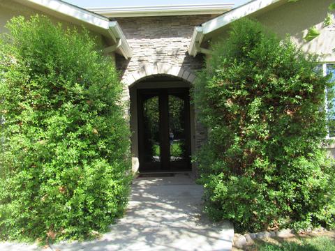 22223 Carson Ave, Exeter, CA 93221 photo 13