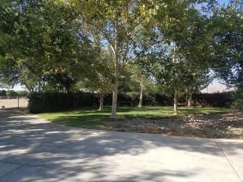 22223 Carson Ave, Exeter, CA 93221 photo 6