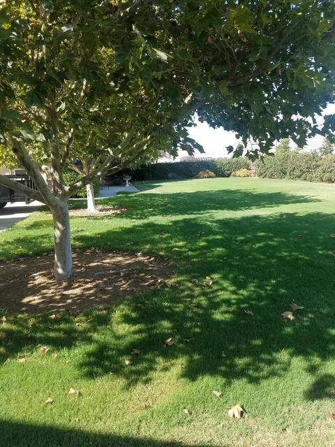 22223 Carson Ave, Exeter, CA 93221 photo 9