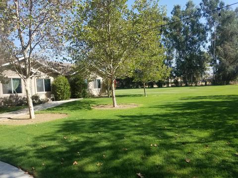 22223 Carson Ave, Exeter, CA 93221 photo 8