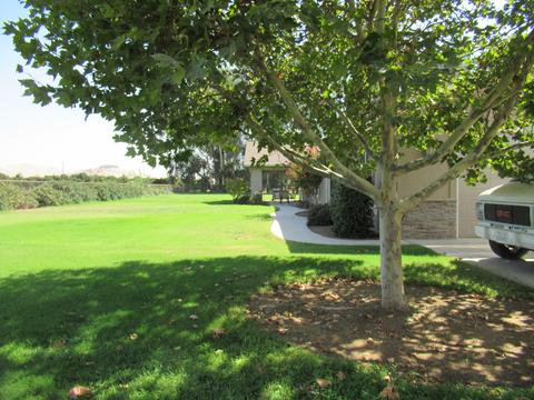 22223 Carson Ave, Exeter, CA 93221 photo 50