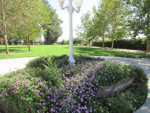22223 Carson Ave, Exeter, CA 93221 photo 3