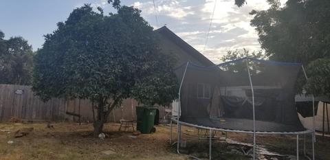 15657 Jasmine Ave, Ivanhoe, CA 93235 photo 2