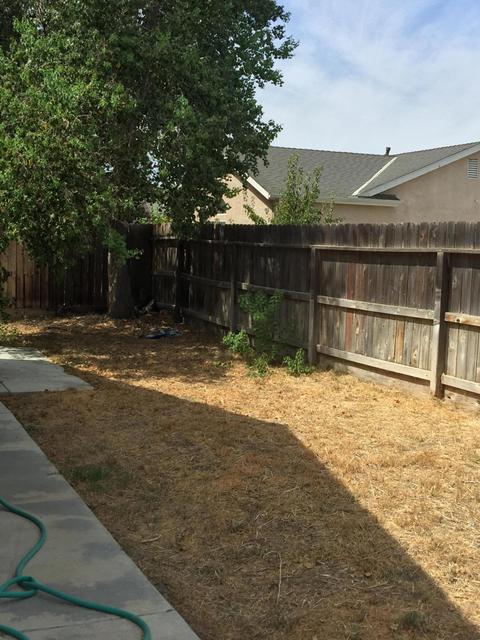 1558 Hawthorn St, Lemoore, CA 93245 photo 52